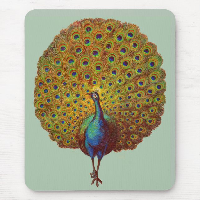 beautiful Victorian peacock print Mouse Mat (Front)