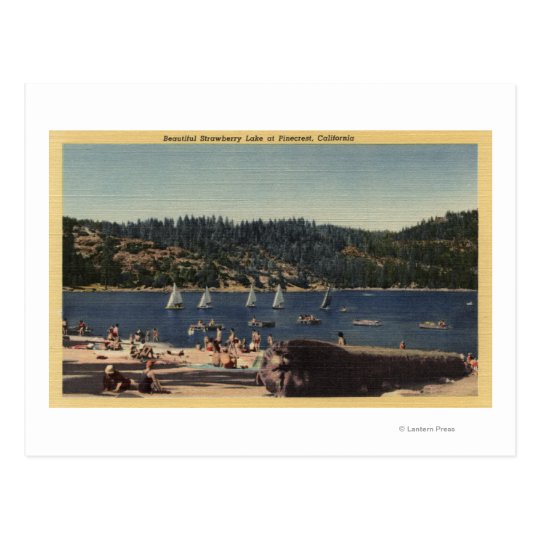Beautiful View of Strawberry Lake Postcard