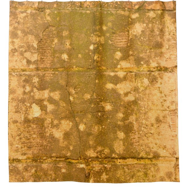 Beautiful vintage background. Abstract grunge deco Shower Curtain (Front)