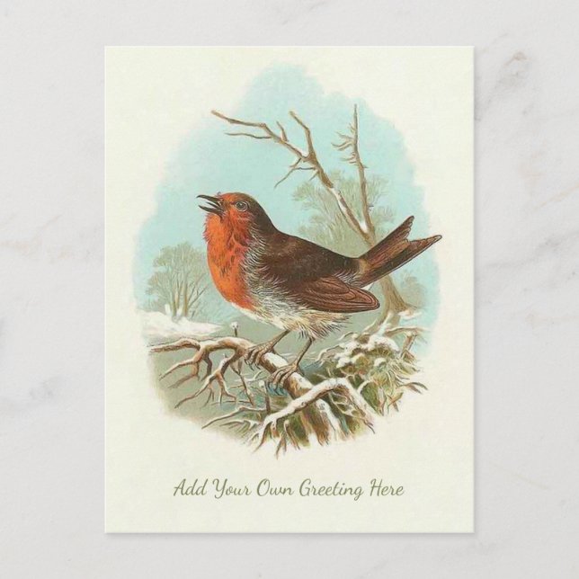 Beautiful Vintage Bird Add Your Own Greeting Postcard (Front)