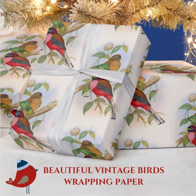 Beautiful Vintage Bird Illustration Colourful Wrapping Paper (This vintage birds gift wrap is great for bird lovers or nature buffs!)