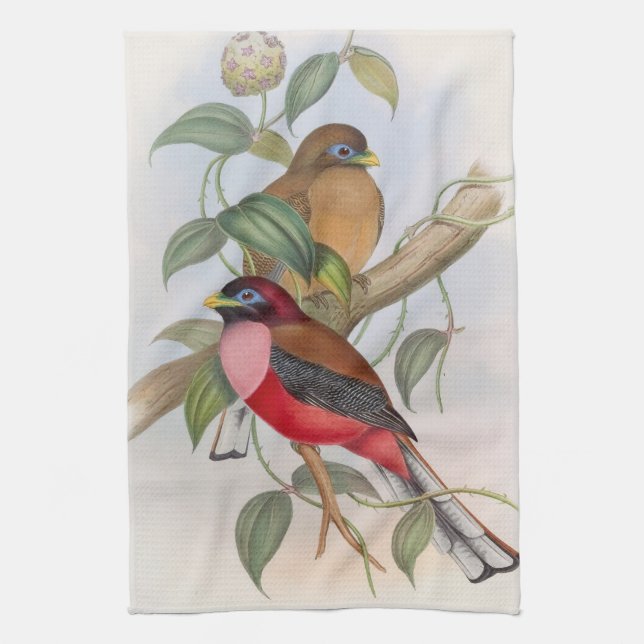 Beautiful Vintage Bird Illustration Kitchen Towel (Vertical)