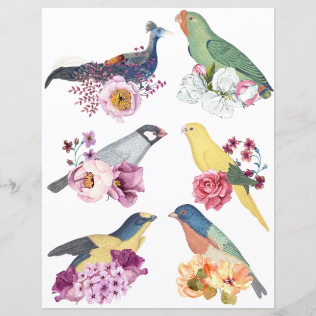 Beautiful vintage birds with flowers scrapbooking (Front)