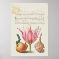 Beautiful Vintage Botanical Illustration