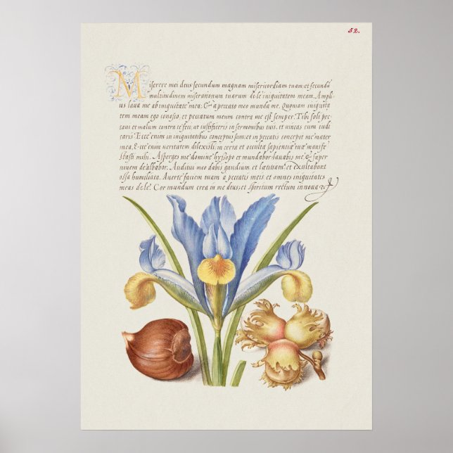 Beautiful Vintage Botanical Illustration Poster (Front)