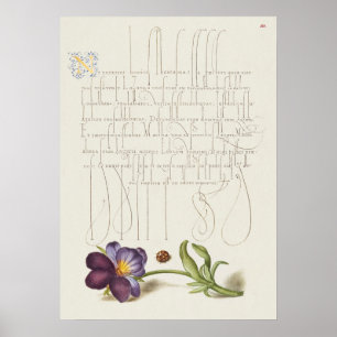 Beautiful Vintage Botanical Illustration Poster
