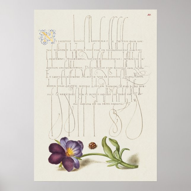 Beautiful Vintage Botanical Illustration Poster (Front)