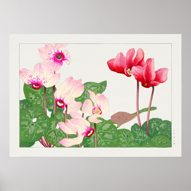 Beautiful Vintage Botanical Illustration Poster (Front)