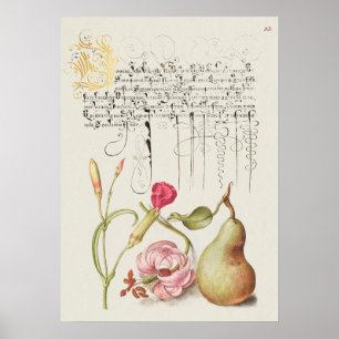 Beautiful Vintage Botanical Illustration Poster