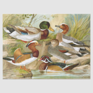Beautiful Vintage Ducks At The Pond Decoupage Tissue Paper