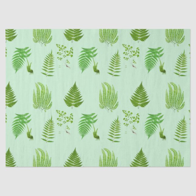 Beautiful vintage ferns paintings tissue paper (Front)