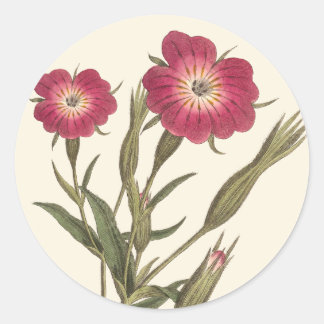 Beautiful Vintage Field Flowers Antique Botanical Classic Round Sticker