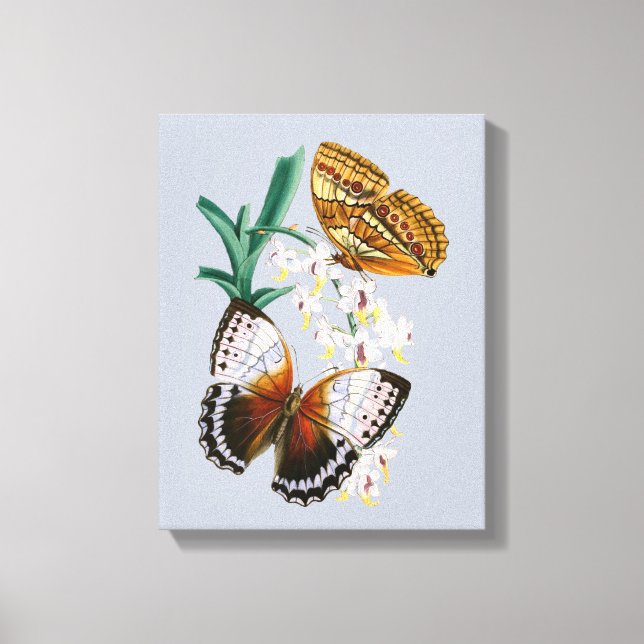 Beautiful Vintage Floral Butterfly Illustration Canvas Print (Front)