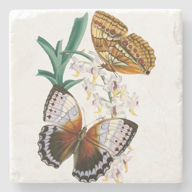 Beautiful Vintage Floral Butterfly Illustration Stone Coaster (Front)