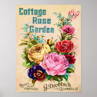 Beautiful Vintage Flower Catalogue Advertisement Poster