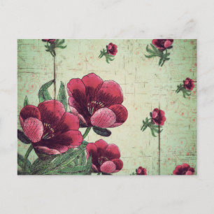 Beautiful Vintage Flower Collage Postcard