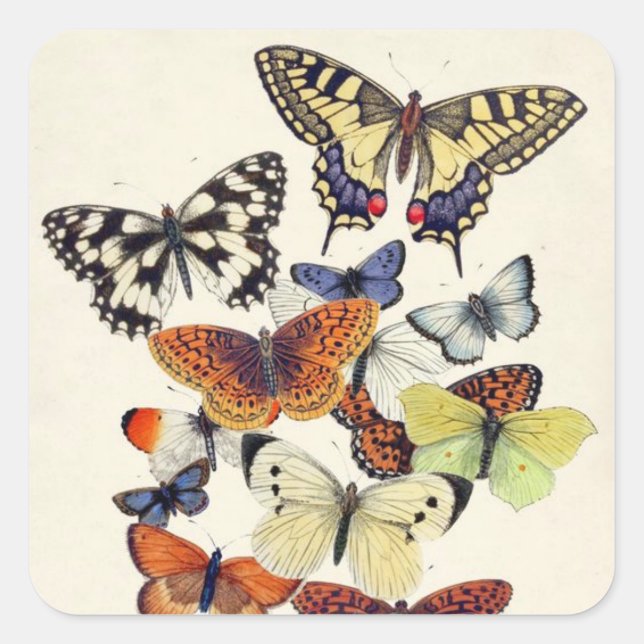 Beautiful vintage Garden Butterflies Square Sticker (Front)