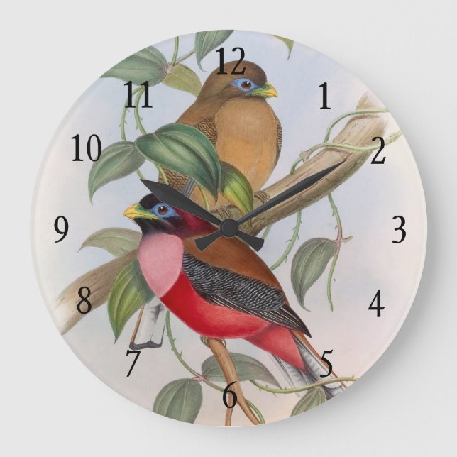 Beautiful Vintage Love Birds Acrylic Wall Clock (Front)