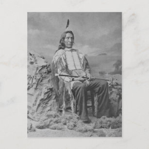Beautiful Vintage Native American Portrait Postcar Postcard