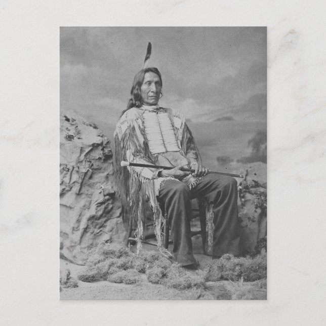 Beautiful Vintage Native American Portrait Postcar Postcard (Front)
