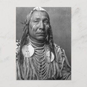 Beautiful Vintage Native American Portrait Postcar Postcard