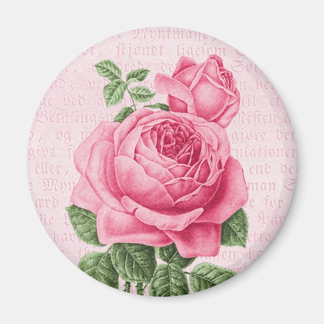 Beautiful vintage pink rose magnet (Front)