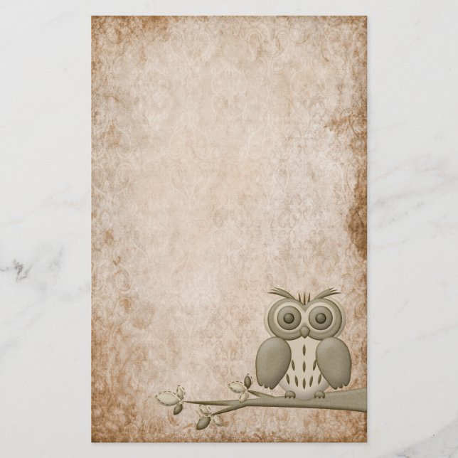 Beautiful Vintage Retro Owl Stationery (Front)