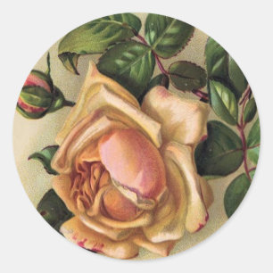 *Beautiful Vintage Roses* Classic Round Sticker