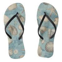 Beautiful Vintage Seashells In Blue