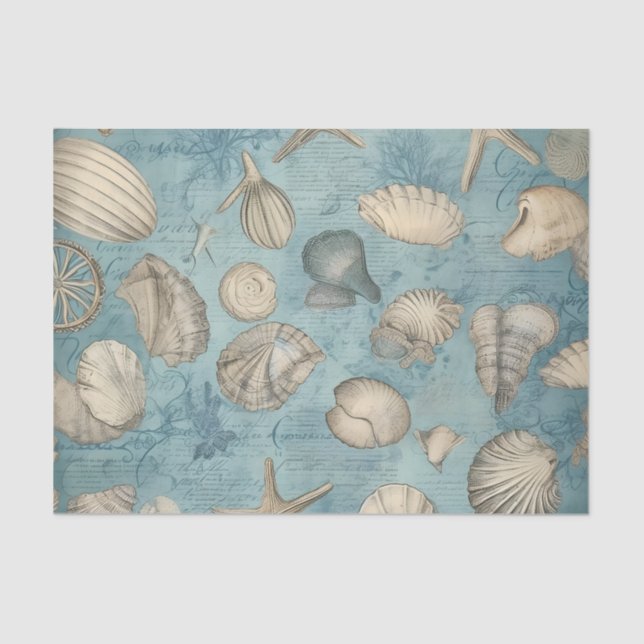 Beautiful Vintage Seashells In Blue Tissue Paper (Front)