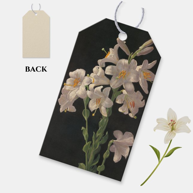 Beautiful Vintage White Easter Lilies Gift Tag (Elegant white lilies gift tags, for Easter gifting or at any time of year!)