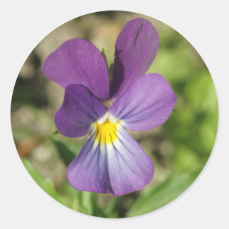 Beautiful violet flower photo sticker
