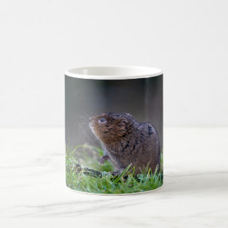 Beautiful Water vole Mug