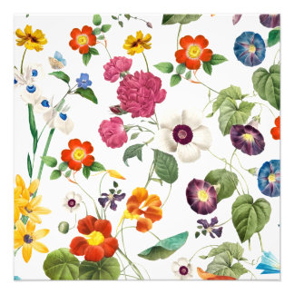 Beautiful Watercolor Botanical Photo Print