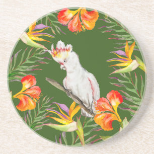 Beautiful watercolor cacatau parrot hand drawing Coaster