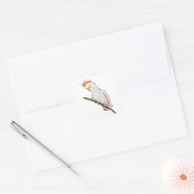 Beautiful watercolor cockatoo parrot hand drawing square sticker (Envelope)