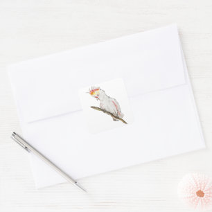 Beautiful watercolor cockatoo parrot hand drawing square sticker