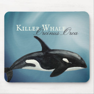 Beautiful Watercolor Killer Whale, Orcinus Orca Mouse Mat