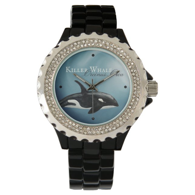 Beautiful Watercolor Killer Whale, Orcinus Orca Watch (Front)