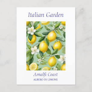 Beautiful Watercolor Lemon Tree  Postcard