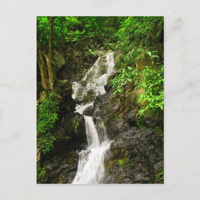 Beautiful Waterfall in a Lush Green Forest Postcard (Front)