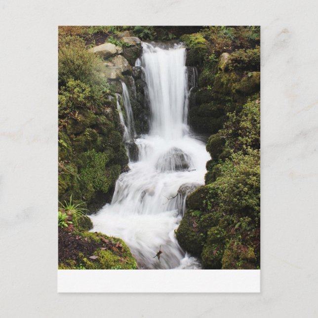 Beautiful Waterfall Postcard (Front)