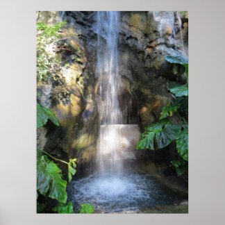 Beautiful Waterfalls In Rain Forest Poster