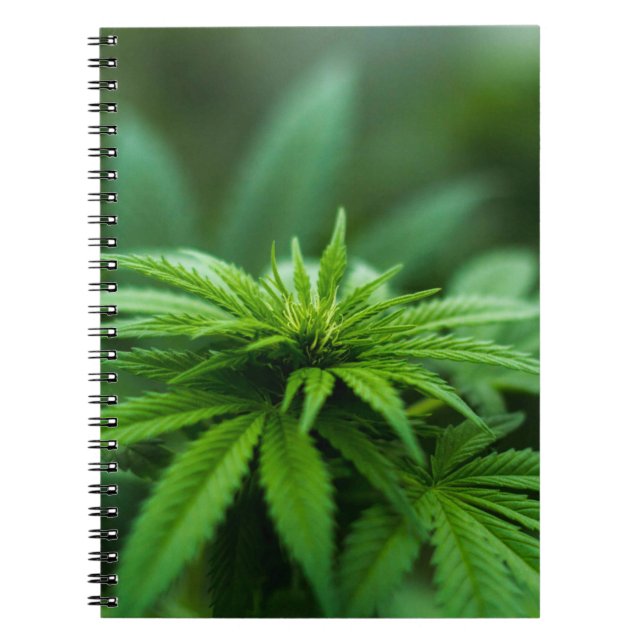 Beautiful Weed Notebook (Front)