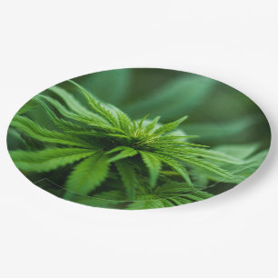 Beautiful Weed Paper Plate