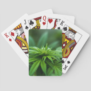 Beautiful Weed Plant Playing Cards