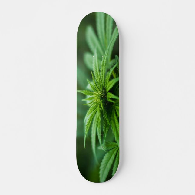 Beautiful Weed Plant Skateboard (Front)