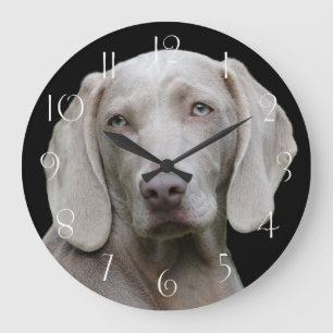 Beautiful Weimaraner Hunting Dog Large Clock