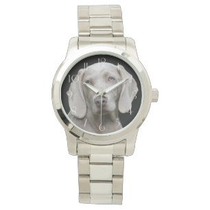 Beautiful Weimaraner Hunting Dog Watch