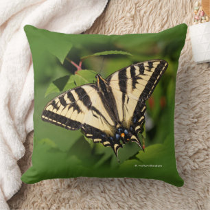 Beautiful Western Tiger Swallowtail Butterfly Cushion